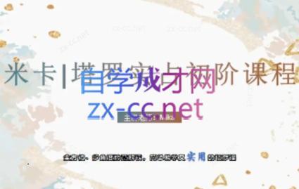 米卡·实占塔罗初阶课-百货大全