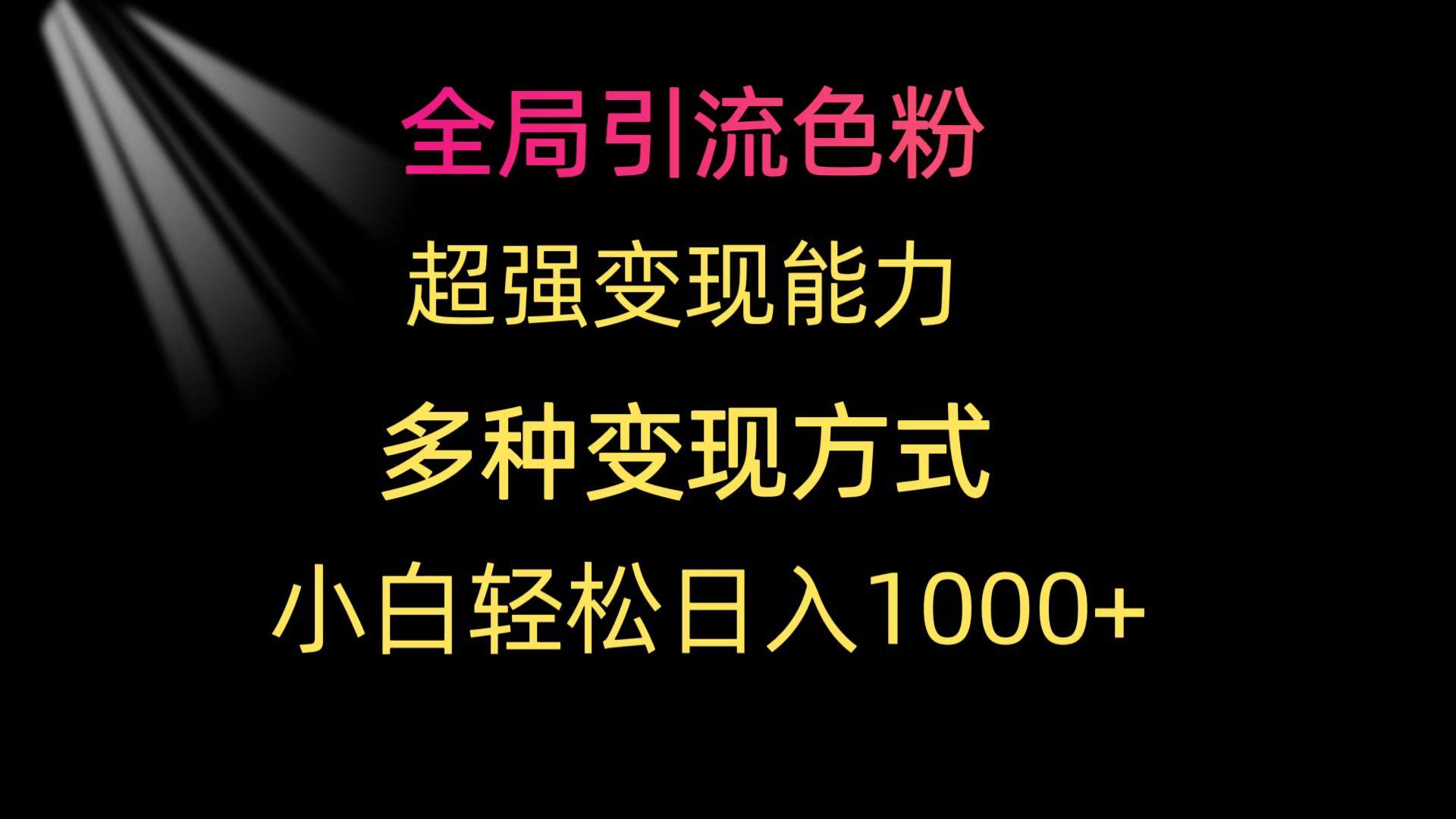 (9680期)全局引流色粉 超强变现能力 多种变现方式 小白轻松日入1000+-百货大全