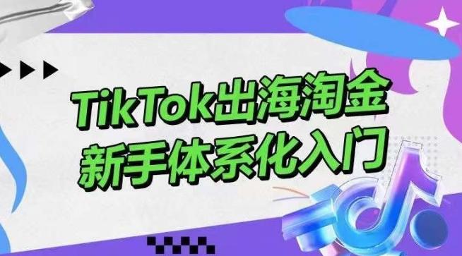 TikTok出海淘金，新手体系化入门，零基础快速入门，掌握短视频、直播带货等引流到变现的知识-百货大全