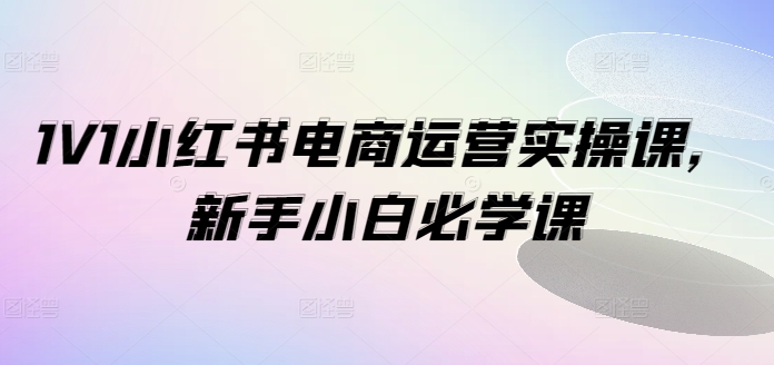 1V1小红书电商运营实操课，新手小白必学课-百货大全
