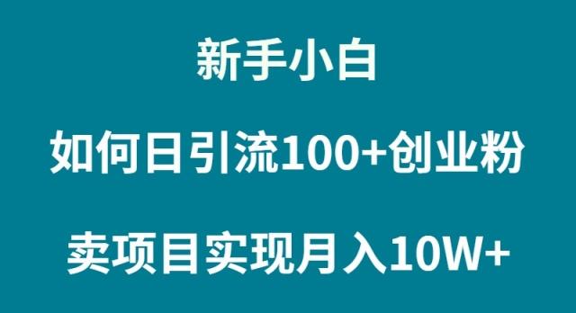 (9556期)新手小白如何通过卖项目实现月入10W+-百货大全
