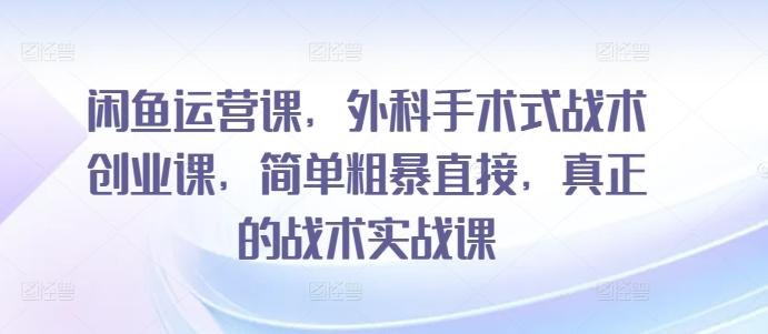 闲鱼运营课，外科手术式战术创业课，简单粗暴直接，真正的战术实战课-百货大全