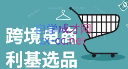 阿甘·2024年跨境电商选品案例-百货大全