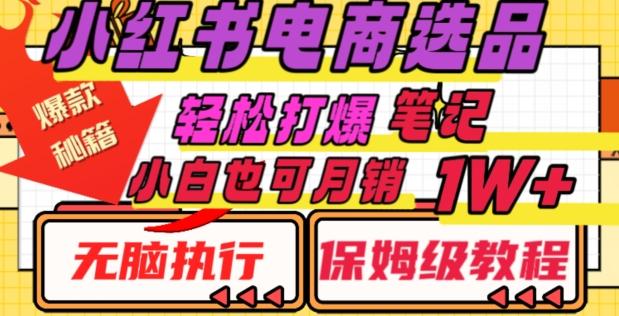 小红书电商爆款选品秘籍，帮你轻松打爆笔记，小白也可轻松月销10000+-百货大全
