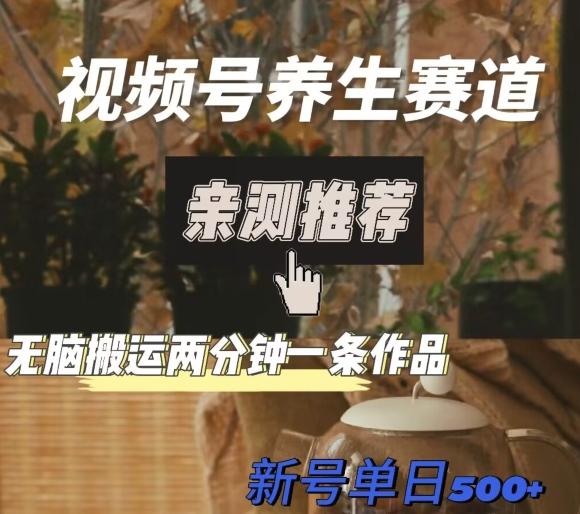 视频号养生赛道暴力掘金，无脑搬运，两分钟一条作品-新日单入500+-百货大全