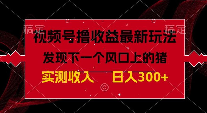 视频号分成计划最新玩法，单条作品几分钟制作完成,日入300+，过年前最后的冲刺-百货大全