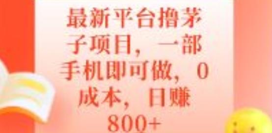 最新平台撸茅子项目，一部手机即可做，0成本，日赚800+-百货大全