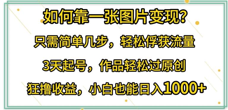 如何靠一张图片变现?只需简单几步，轻松俘获流量，3天起号，作品轻松过原创【揭秘】-百货大全