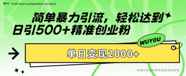 简单暴力引流，轻松达到日引500+精准创业粉，单日变现2k【揭秘】-百货大全