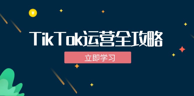 TikTok实战运营全攻略：从下载软件到变现，抖音海外版实操教程-百货大全