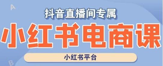 小红书电商高级运营课程，实操教学+案例分析-百货大全