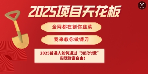 2025项目天花板普通人如何通过知识付费，实现财F自由【揭秘】-百货大全