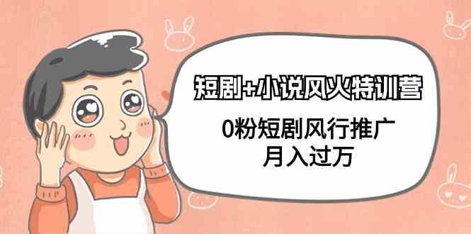 小说+短剧风火特训营，0粉短剧小说风行推广，实现月入过万-百货大全